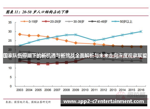 国家队伤停潮下的新机遇与新挑战全面解析与未来走向深度观察展望