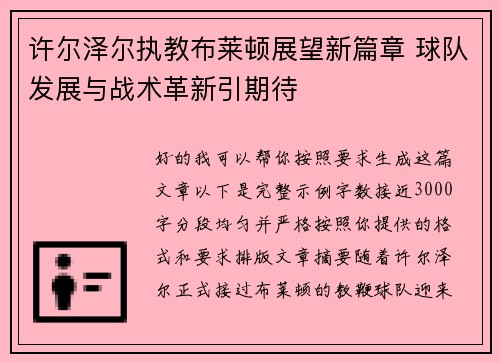 许尔泽尔执教布莱顿展望新篇章 球队发展与战术革新引期待